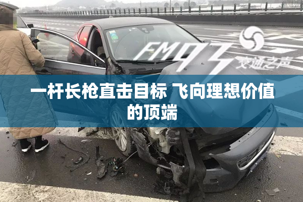 一杆长枪直击目标 飞向理想价值的顶端