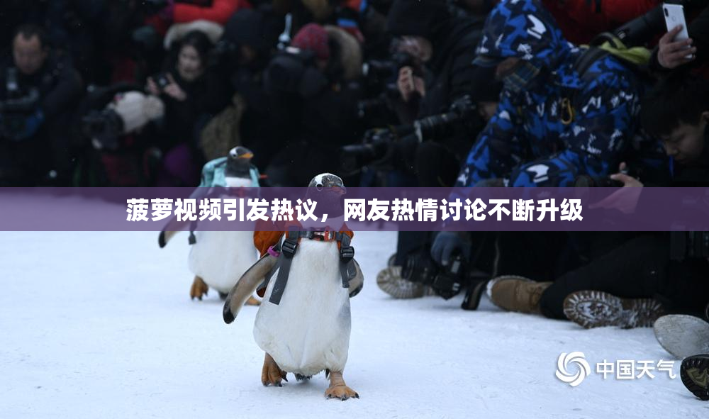 菠萝视频引发热议，网友热情讨论不断升级