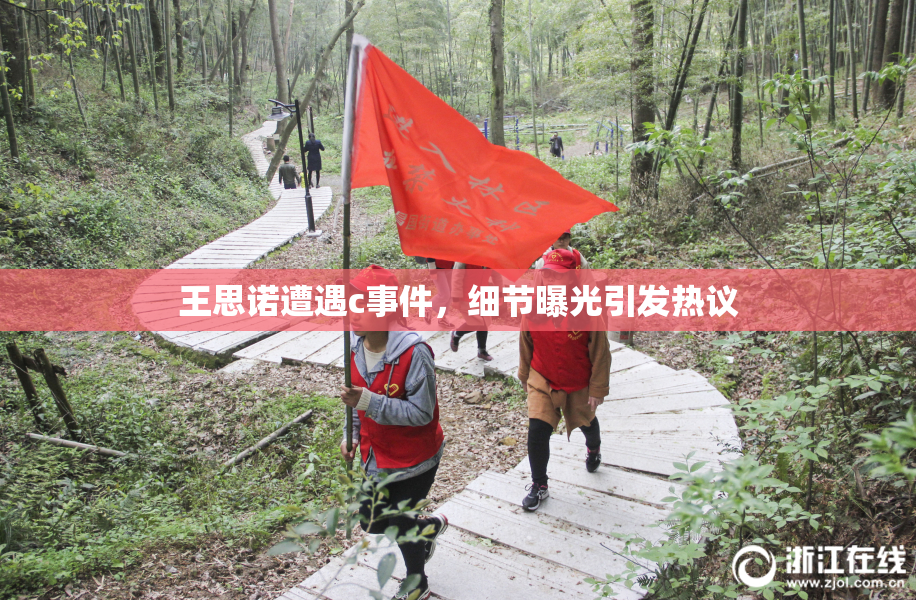 王思诺遭遇c事件，细节曝光引发热议