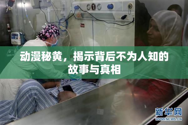 动漫秘黄，揭示背后不为人知的故事与真相