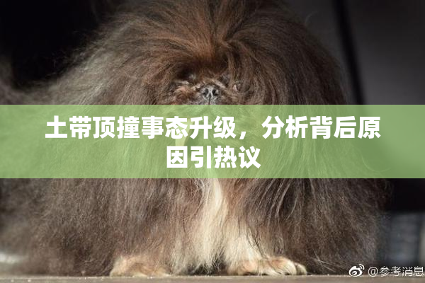 土带顶撞事态升级，分析背后原因引热议