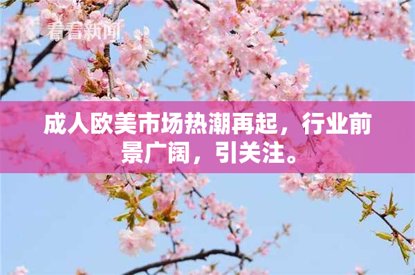 成人欧美市场热潮再起，行业前景广阔，引关注。