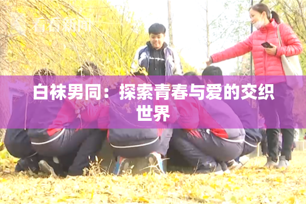 白袜男同：探索青春与爱的交织世界