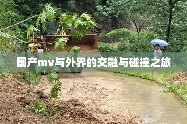 国产mv与外界的交融与碰撞之旅