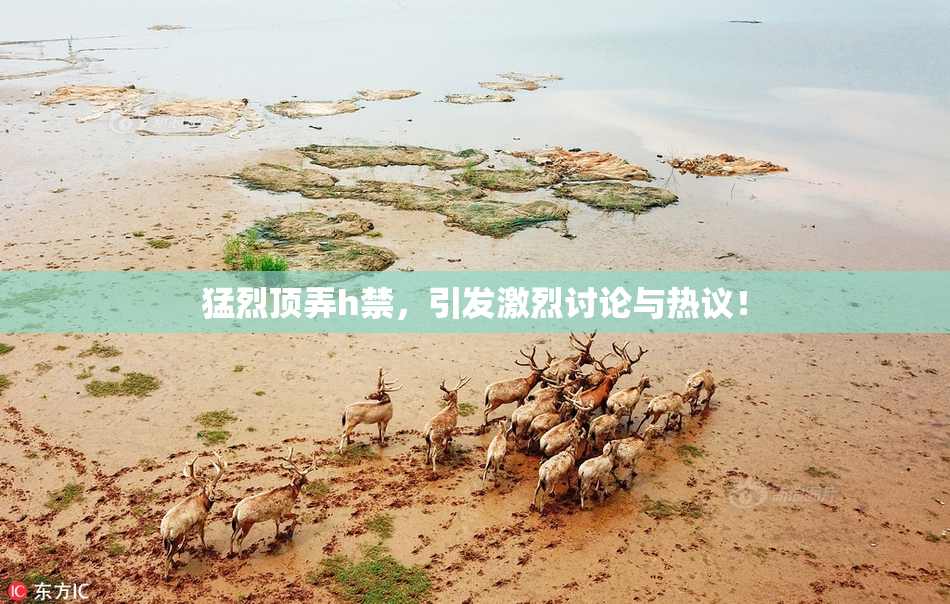 猛烈顶弄h禁，引发激烈讨论与热议！