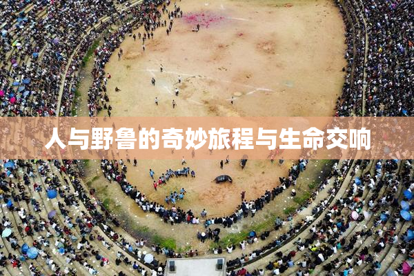 人与野鲁的奇妙旅程与生命交响