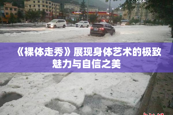 《裸体走秀》展现身体艺术的极致魅力与自信之美