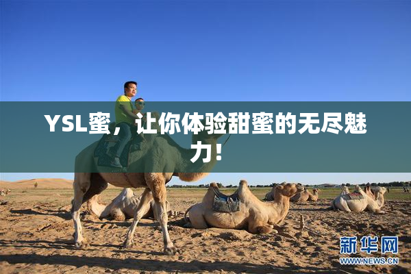 YSL蜜，让你体验甜蜜的无尽魅力！