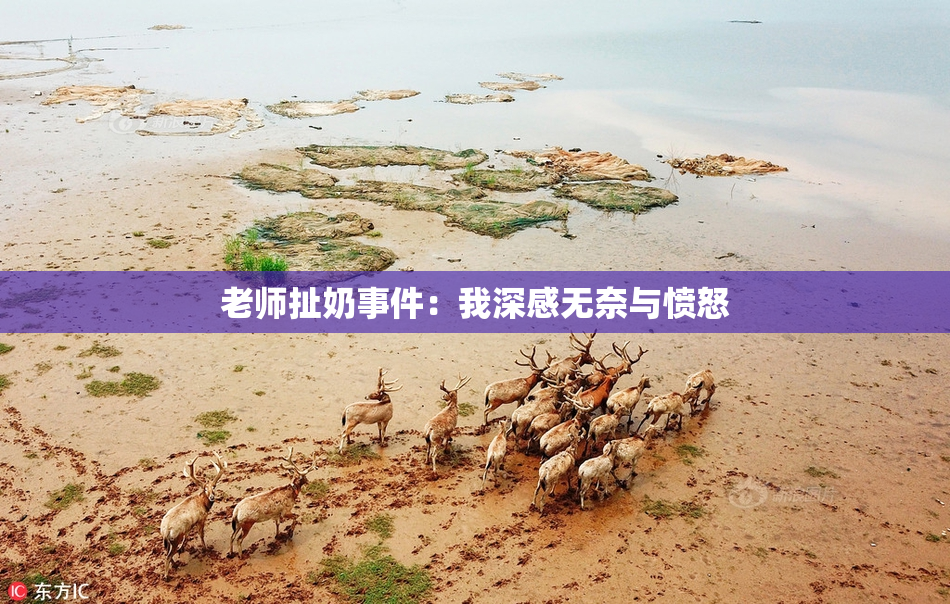 老师扯奶事件：我深感无奈与愤怒