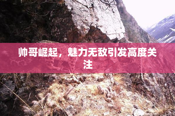 帅哥崛起，魅力无敌引发高度关注