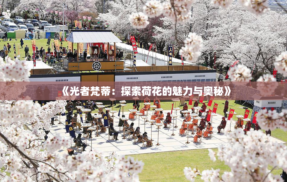 《光者梵蒂：探索荷花的魅力与奥秘》