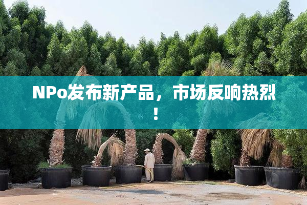 ΝPo发布新产品，市场反响热烈！