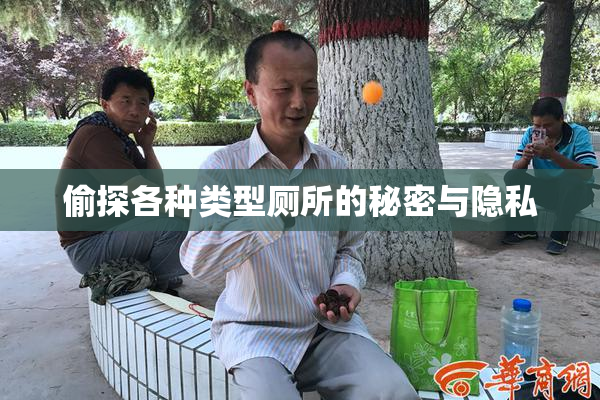 偷探各种类型厕所的秘密与隐私