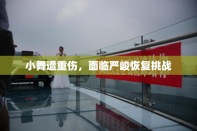 小舞遭重伤，面临严峻恢复挑战
