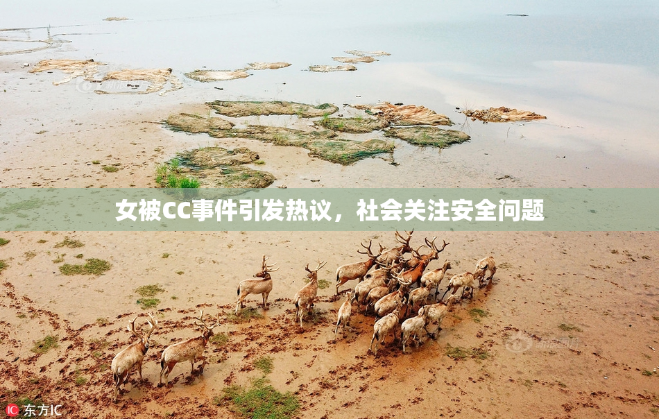 女被CC事件引发热议，社会关注安全问题