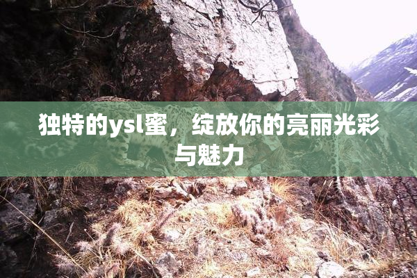 独特的ysl蜜，绽放你的亮丽光彩与魅力
