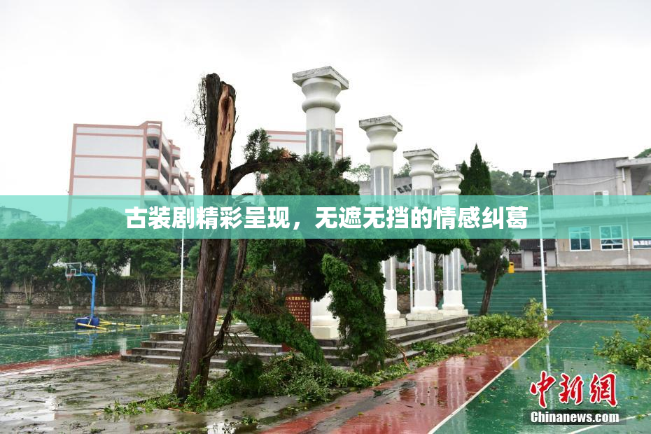 古装剧精彩呈现，无遮无挡的情感纠葛