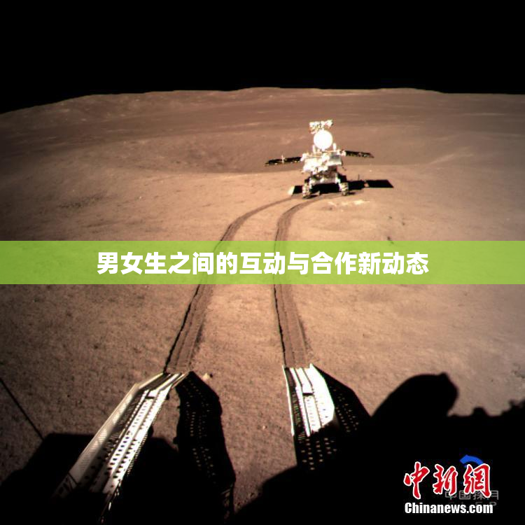 男女生之间的互动与合作新动态