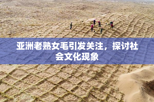 亚洲老熟女毛引发关注，探讨社会文化现象