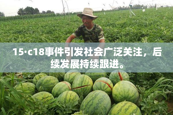 15·c18事件引发社会广泛关注，后续发展持续跟进。
