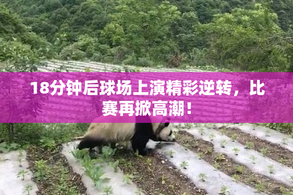 18分钟后球场上演精彩逆转，比赛再掀高潮！