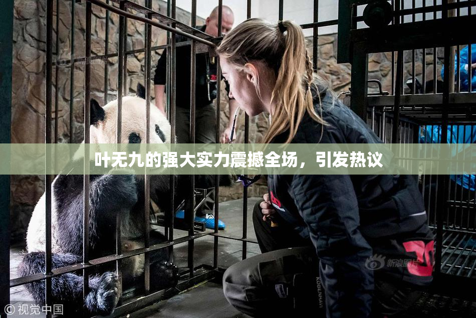 叶无九的强大实力震撼全场，引发热议