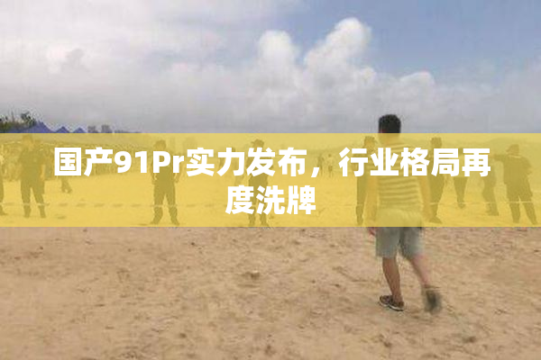 国产91Pr实力发布，行业格局再度洗牌