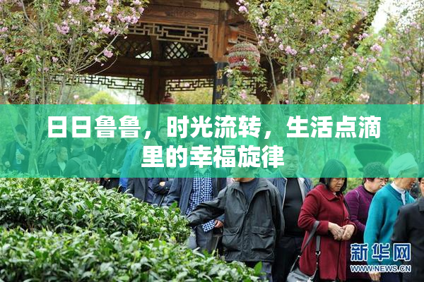 日日鲁鲁，时光流转，生活点滴里的幸福旋律