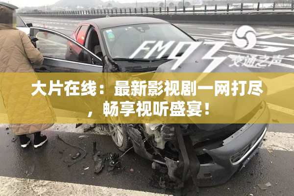大片在线：最新影视剧一网打尽，畅享视听盛宴！