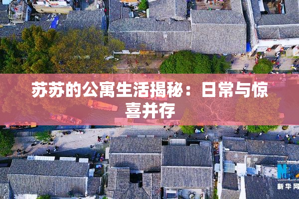 苏苏的公寓生活揭秘：日常与惊喜并存