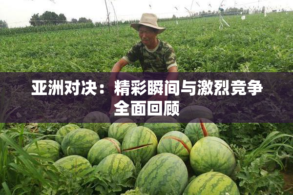 亚洲对决：精彩瞬间与激烈竞争全面回顾
