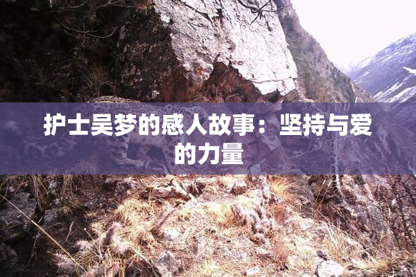 护士吴梦的感人故事：坚持与爱的力量