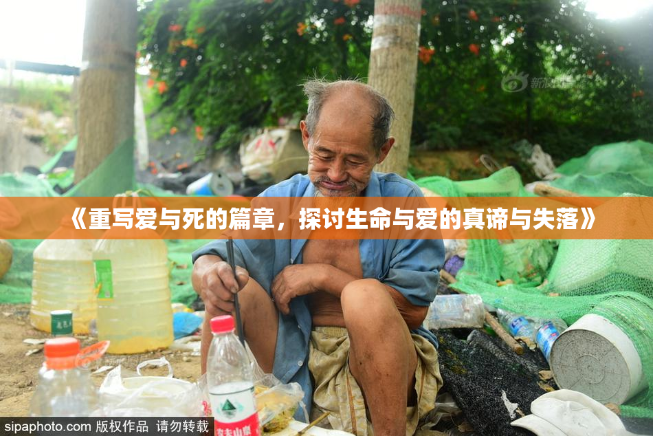 《重写爱与死的篇章，探讨生命与爱的真谛与失落》