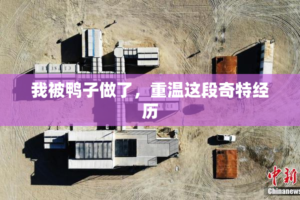 我被鸭子做了，重温这段奇特经历