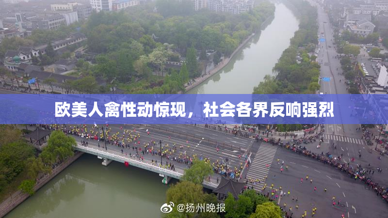 欧美人禽性动惊现，社会各界反响强烈