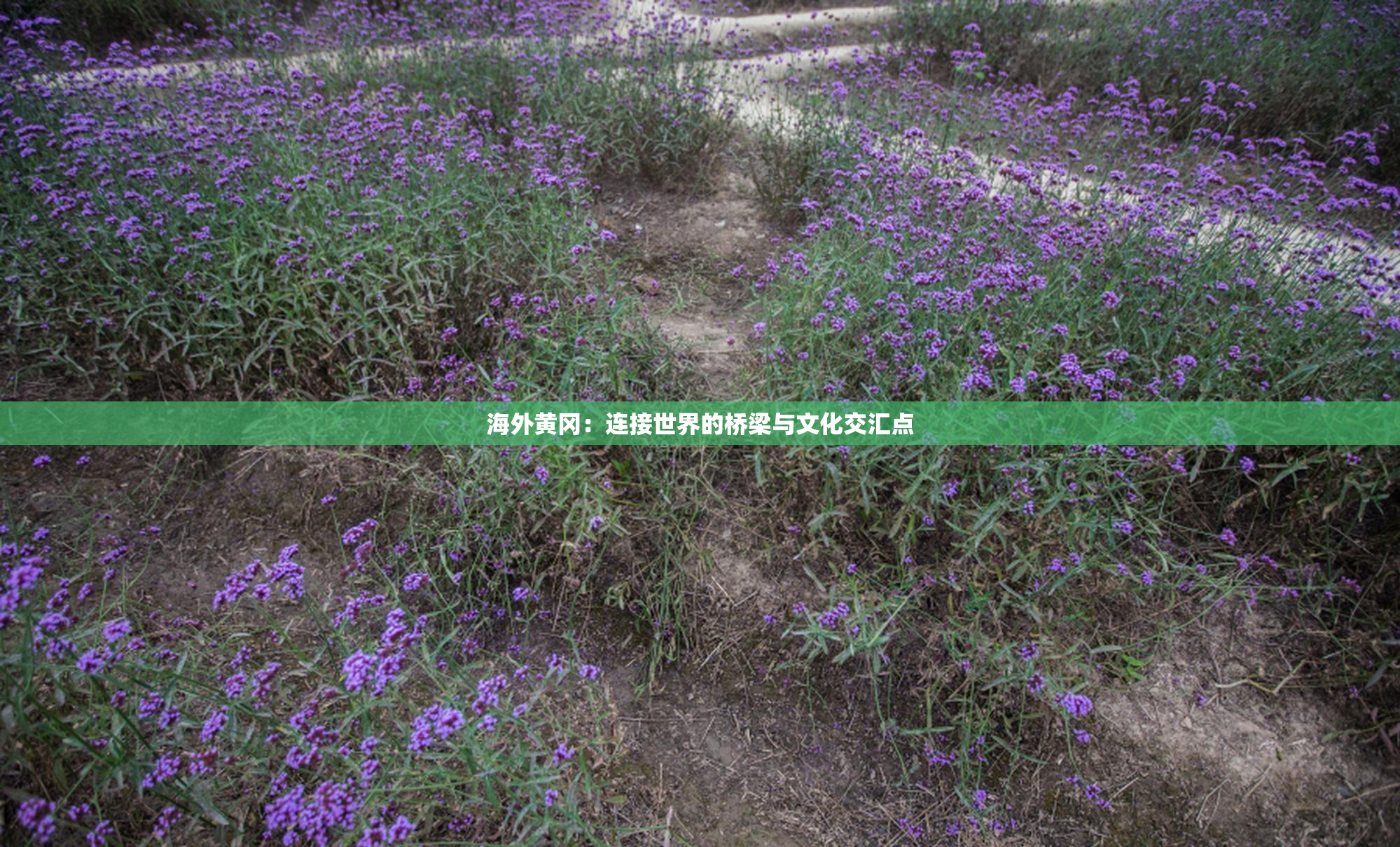 海外黄冈：连接世界的桥梁与文化交汇点