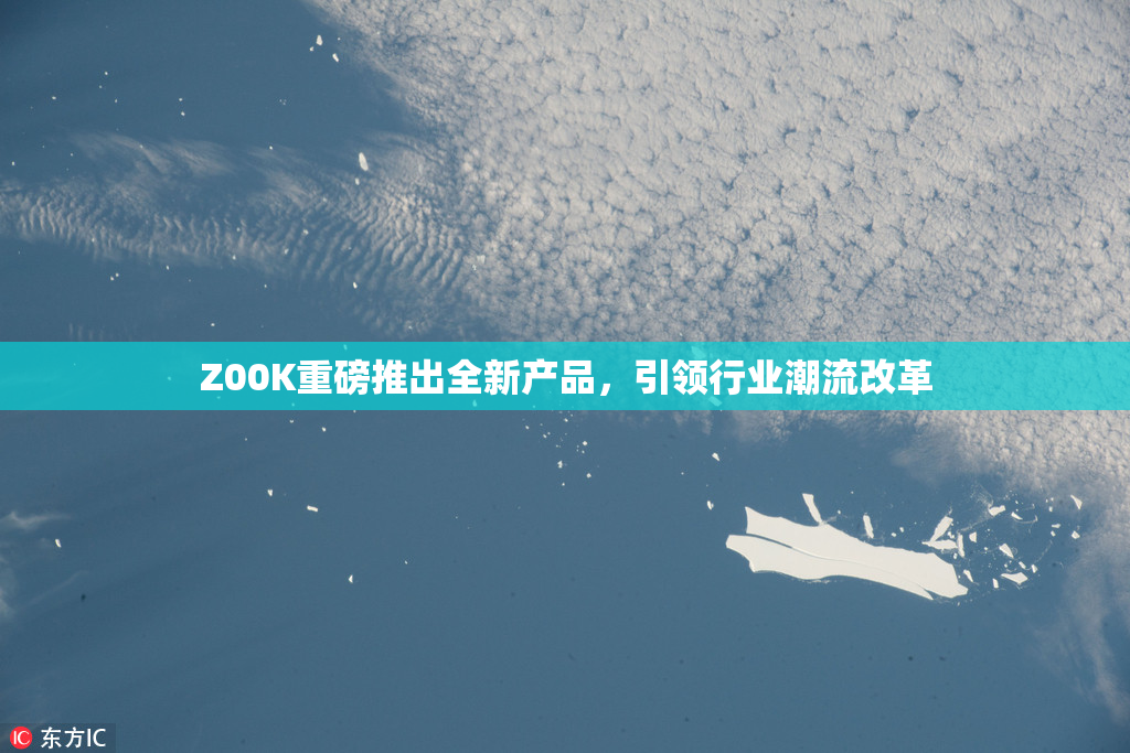 Z00K重磅推出全新产品，引领行业潮流改革