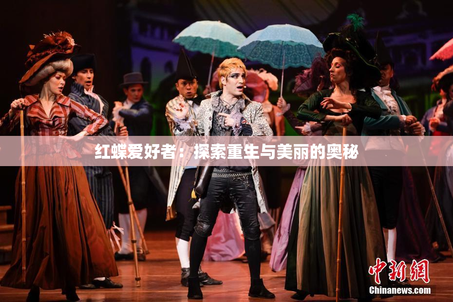红蝶爱好者：探索重生与美丽的奥秘