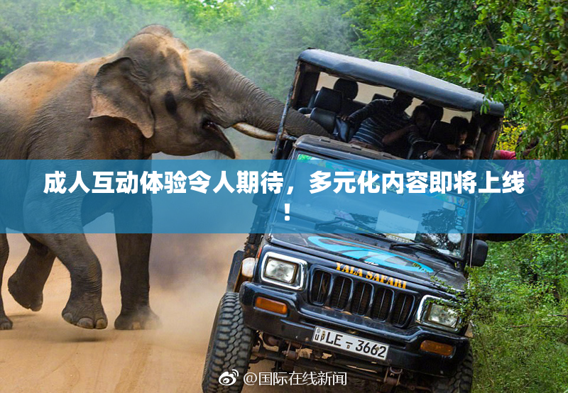 成人互动体验令人期待，多元化内容即将上线！