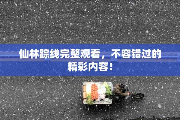 仙林踪线完整观看，不容错过的精彩内容！