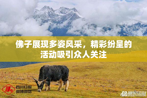 佛子展现多姿风采，精彩纷呈的活动吸引众人关注