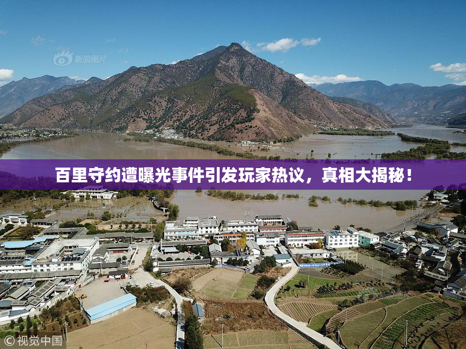 百里守约遭曝光事件引发玩家热议，真相大揭秘！