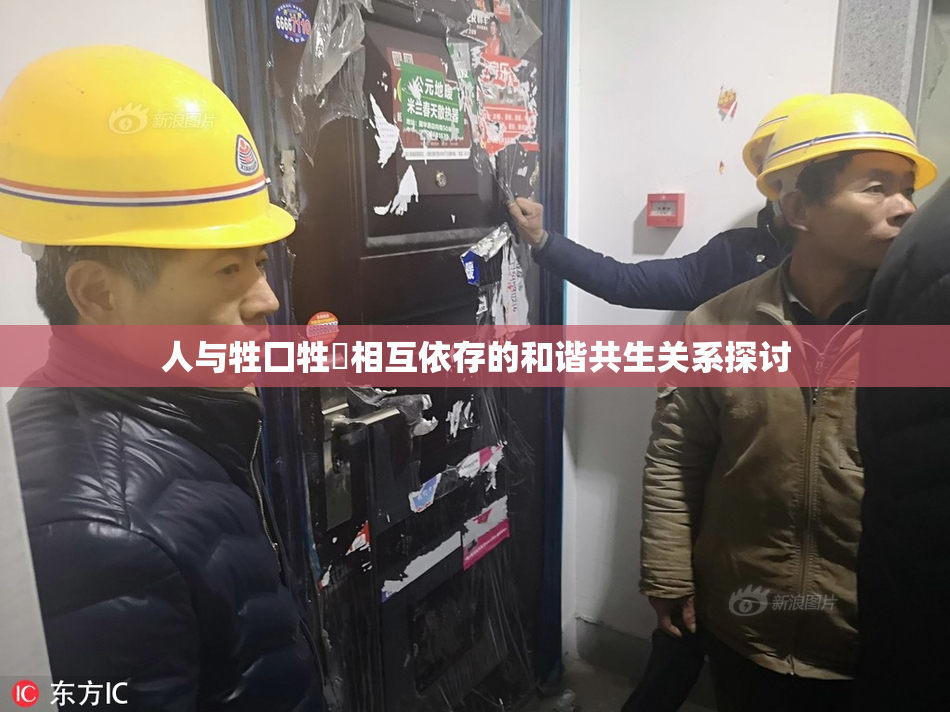 人与牲囗牲恔相互依存的和谐共生关系探讨