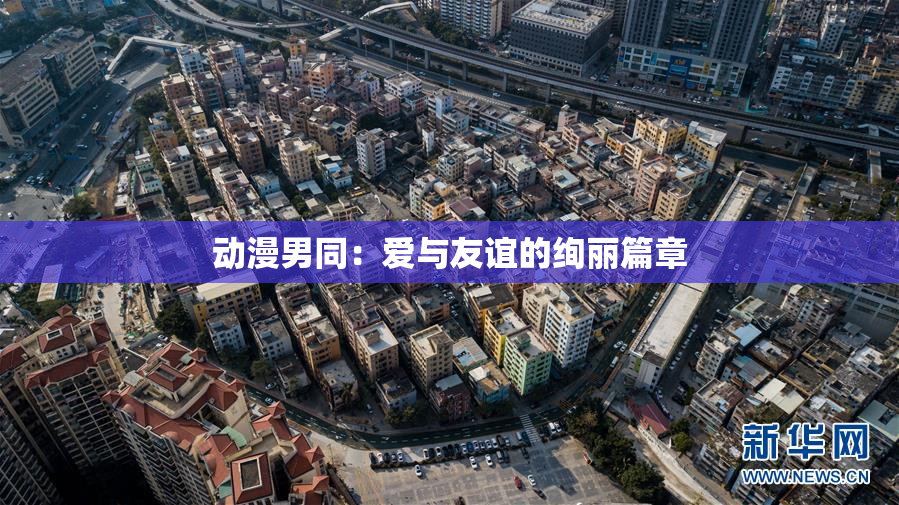 动漫男同：爱与友谊的绚丽篇章