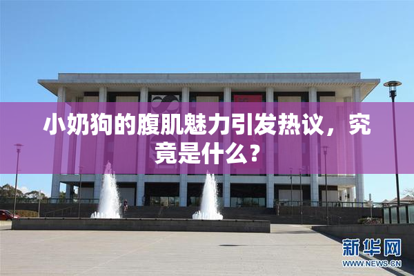小奶狗的腹肌魅力引发热议，究竟是什么？