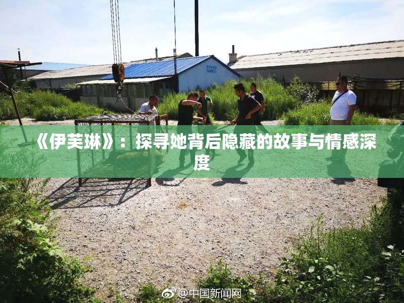《伊芙琳》：探寻她背后隐藏的故事与情感深度