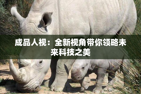 成品人视：全新视角带你领略未来科技之美