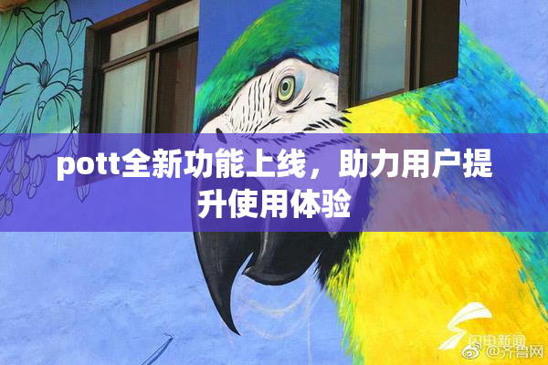 pott全新功能上线，助力用户提升使用体验
