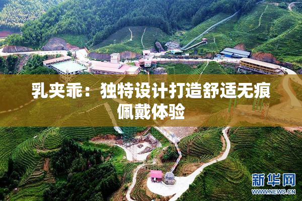 乳夹乖：独特设计打造舒适无痕佩戴体验