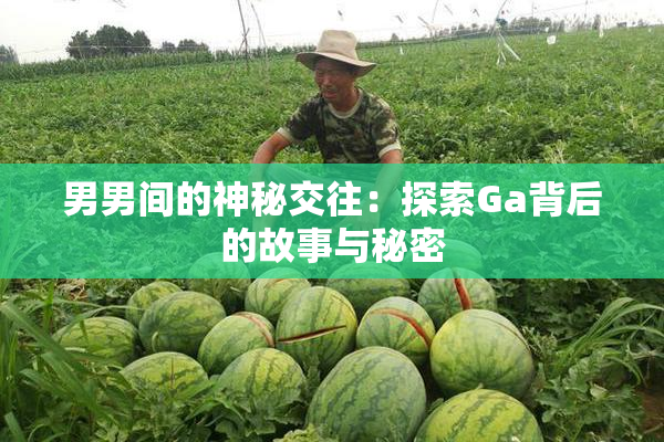 男男间的神秘交往：探索Ga背后的故事与秘密